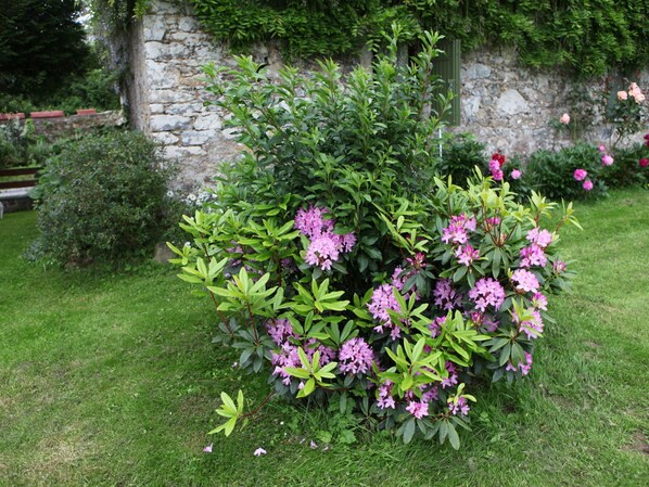 Garden - Saint-sauveur Hideaway (Saint-Sauveur-Villages)