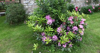 Saint-sauveur Hideaway