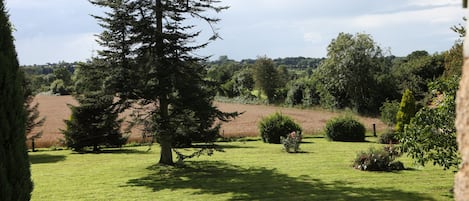 Casa | Jardín