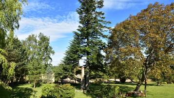 House | Garden