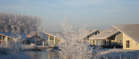 A row of houses with a body of water in the foreground, surrounded by frosty vegetation.