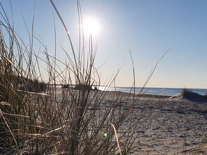 A beach with tall grasses in the foreground and the sun shining in the background. - Holiday Home in Colijnsplaat by the Lake (Colijnsplaat)