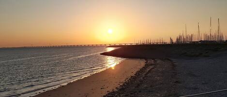 House | Pemandangan dari hartanah
