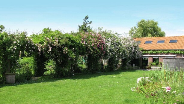 Garden - Cozy Holiday Home in Baarland With a Swimming Pool (Baarland)
