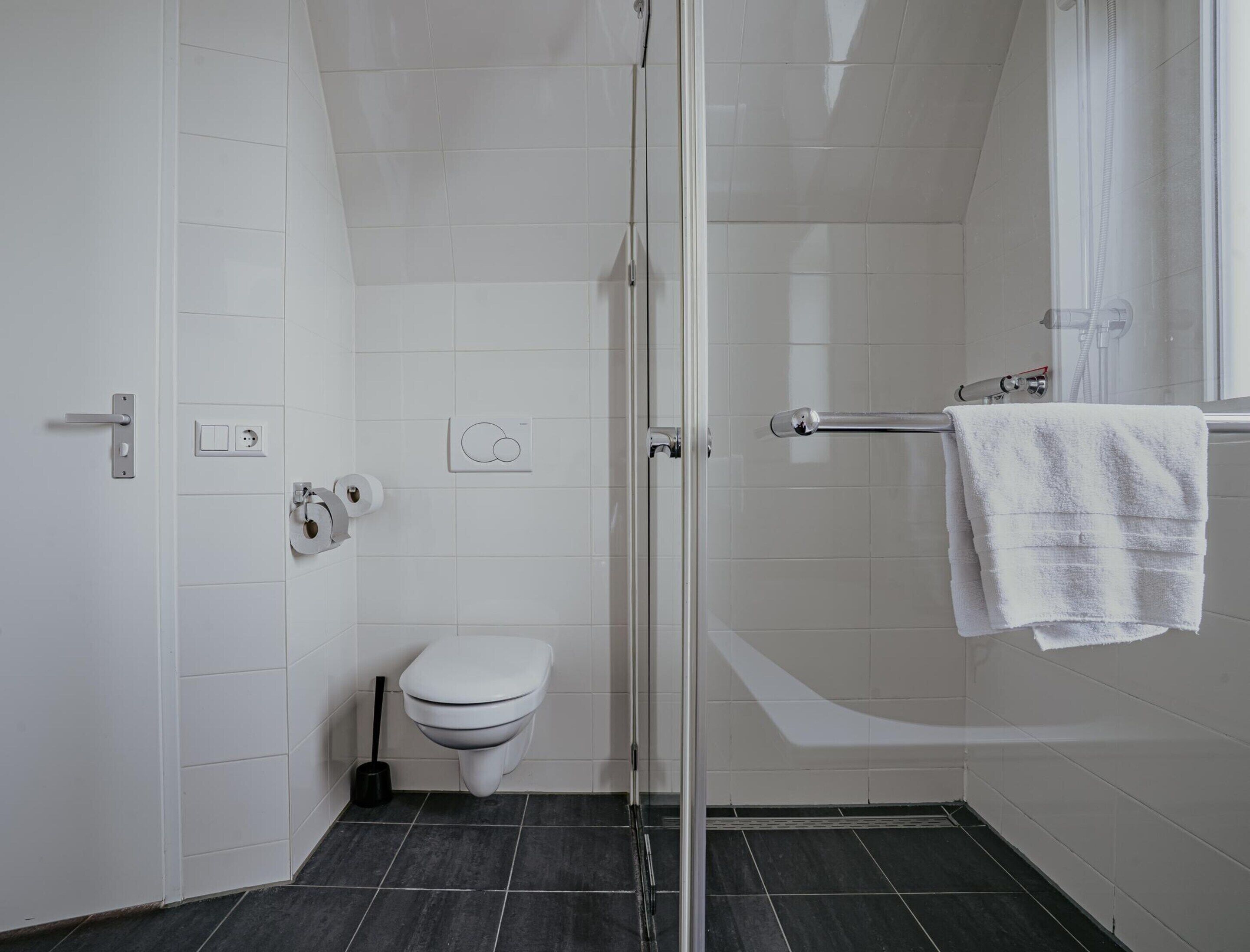 Une salle de bain moderne avec une douche à parois de verre, des toilettes et un porte-serviettes.