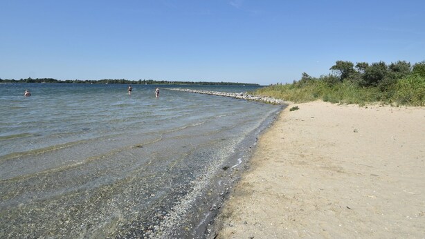 A beach with clear water, a sandy shore, and a distant tree line.