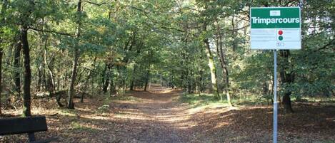 A forested trail with a sign reading "Trimparcours."