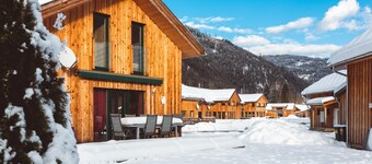 Amazing Chalet With Sauna