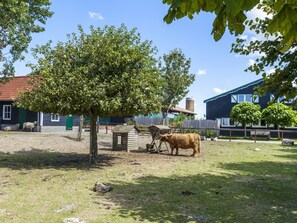 Hus | Overnattingsstedets uteområder