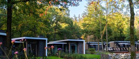 House | Property grounds