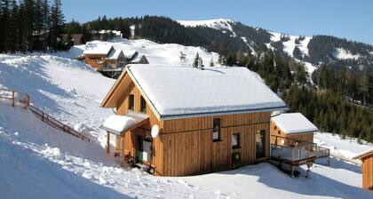 Cozy Chalet near Ski Area in Klippitztörl