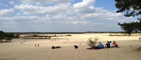 シャレー | 施設からの眺望