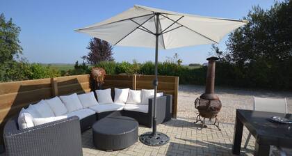 Luxury Accommodation in Drentse Hondsrug With Swimming Pool, Jacuzzi, bar and Plenty of Privacy