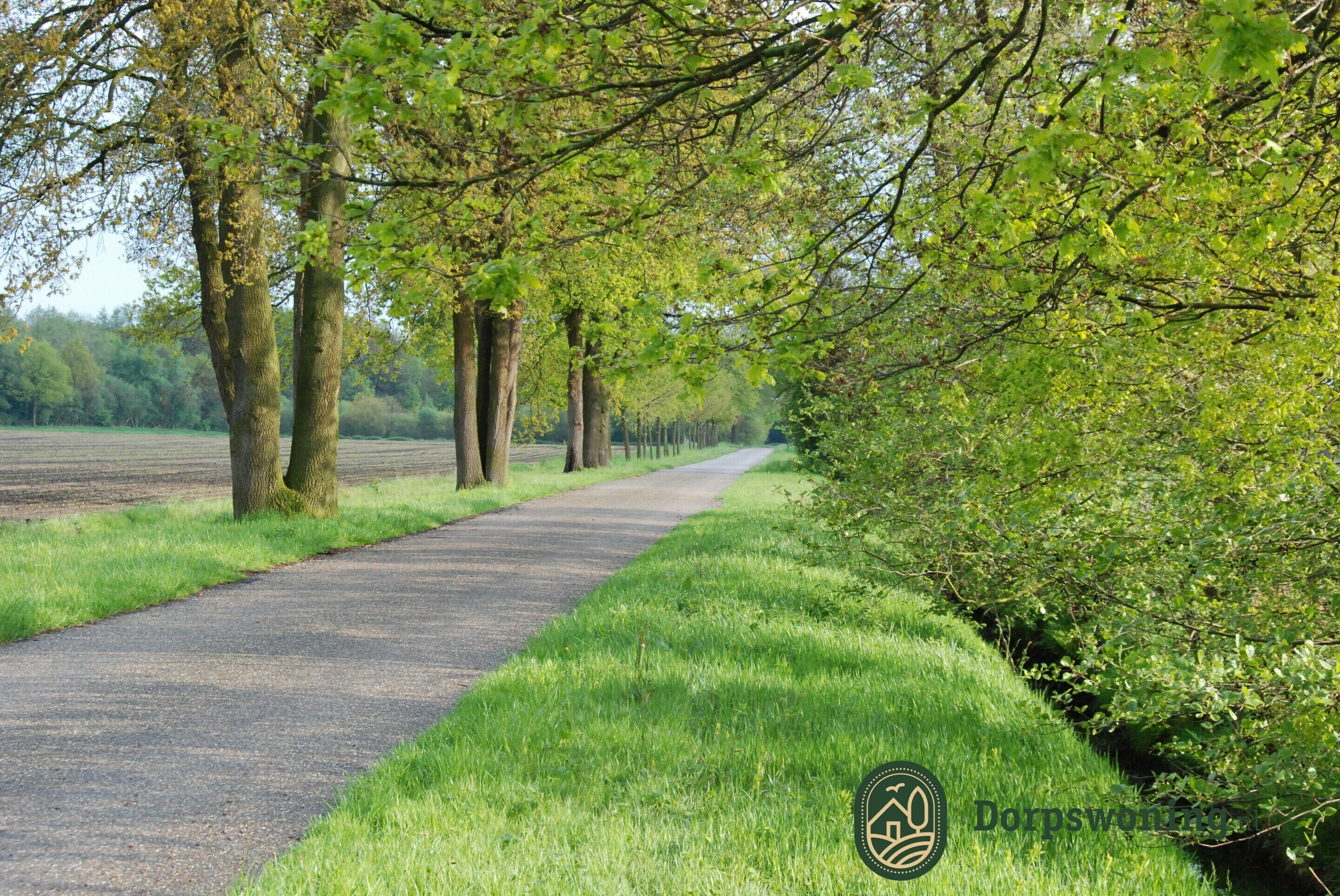 Ein gepflasterter Weg, der von Bäumen und Gras gesäumt wird und in ein grünes Feld führt.