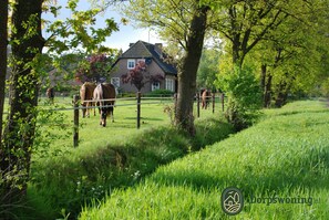 View from property - Forest Cottage Near Leenderbos (Leende)