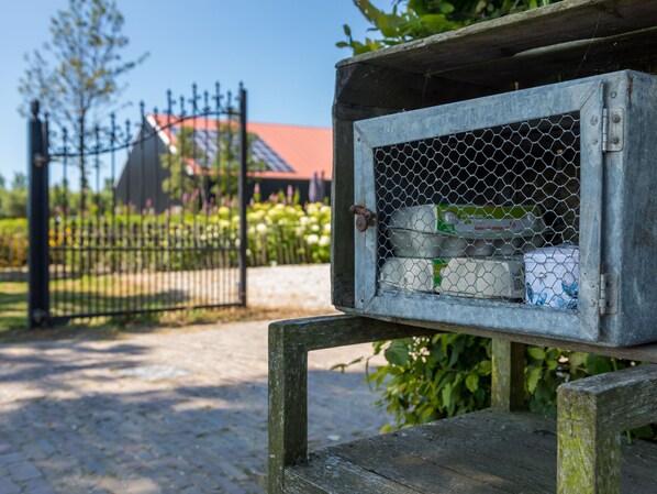 A wooden bird feeder with a metal mesh front, located outdoors. - Family Home in Zeeland Near Oranjezon Beach (Vrouwenpolder)