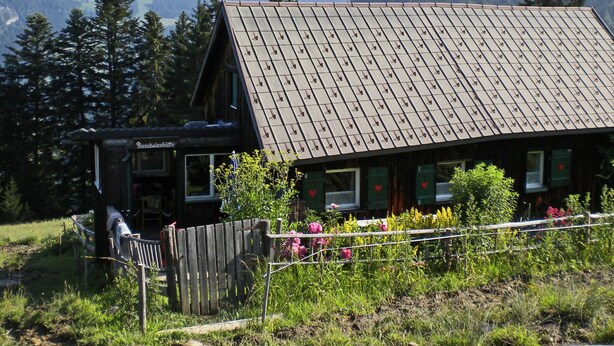 Unclassified image, 1 of 15, button - Holiday Home in Zwischenwasser With Garden, Parking, Heating (Zwischenwasser)