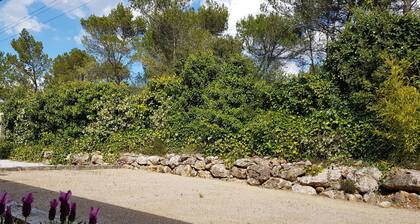 Villa in Vidauban With Private Pool