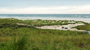 Exterior - Amazing Holiday Home in Texel With Garden (De Koog)
