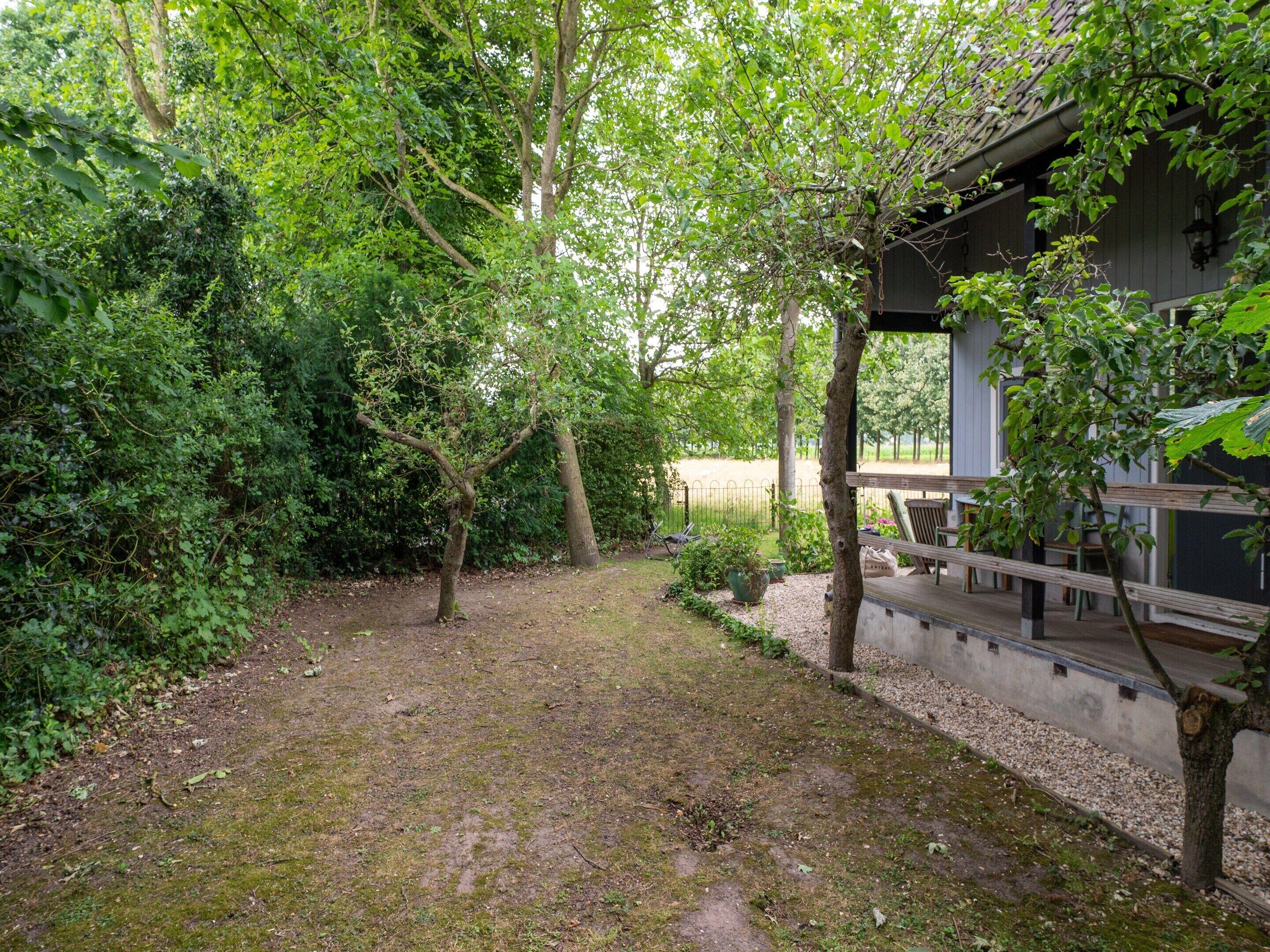 獨棟房屋 | 花園