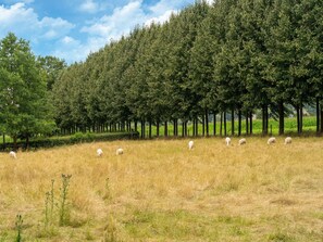 單棟房屋 | 住宿景觀