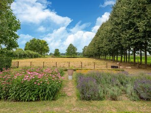 獨棟房屋 | 住宿 景觀