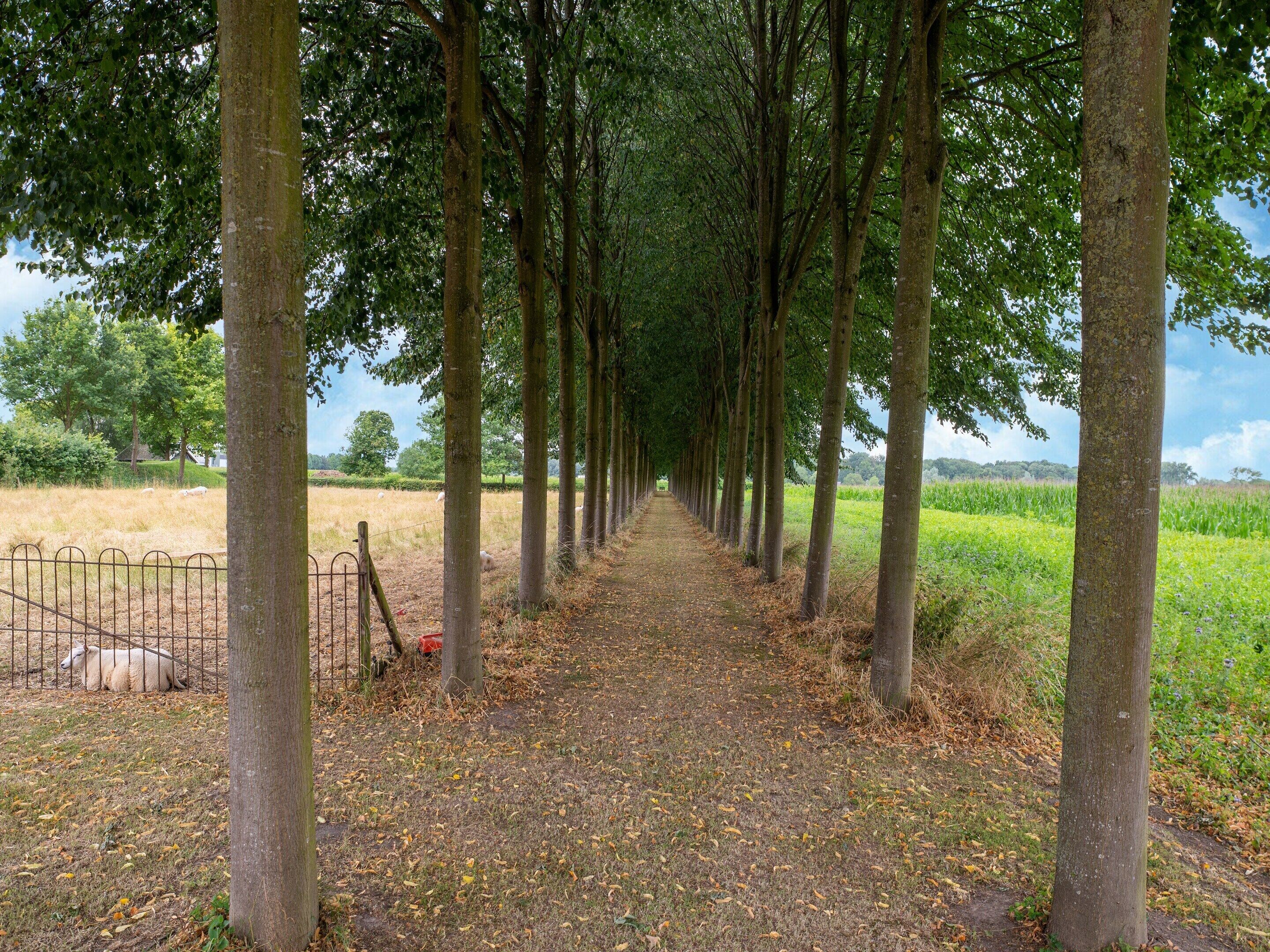 House | View from property