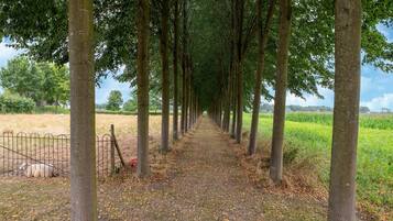 House | View from property