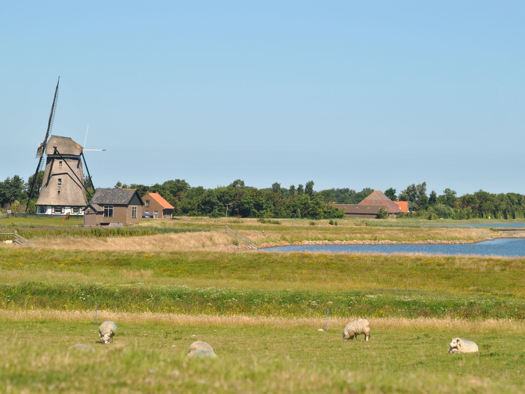 A rural landscape with a windmill, houses, and a body of water.
