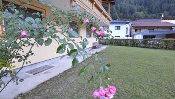 Apartment | Exterior