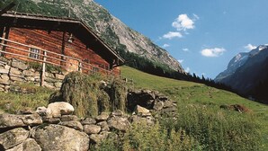 Exterior - Spacious Apartment in Heart of Zillertal near Ski Area (Kaltenbach)