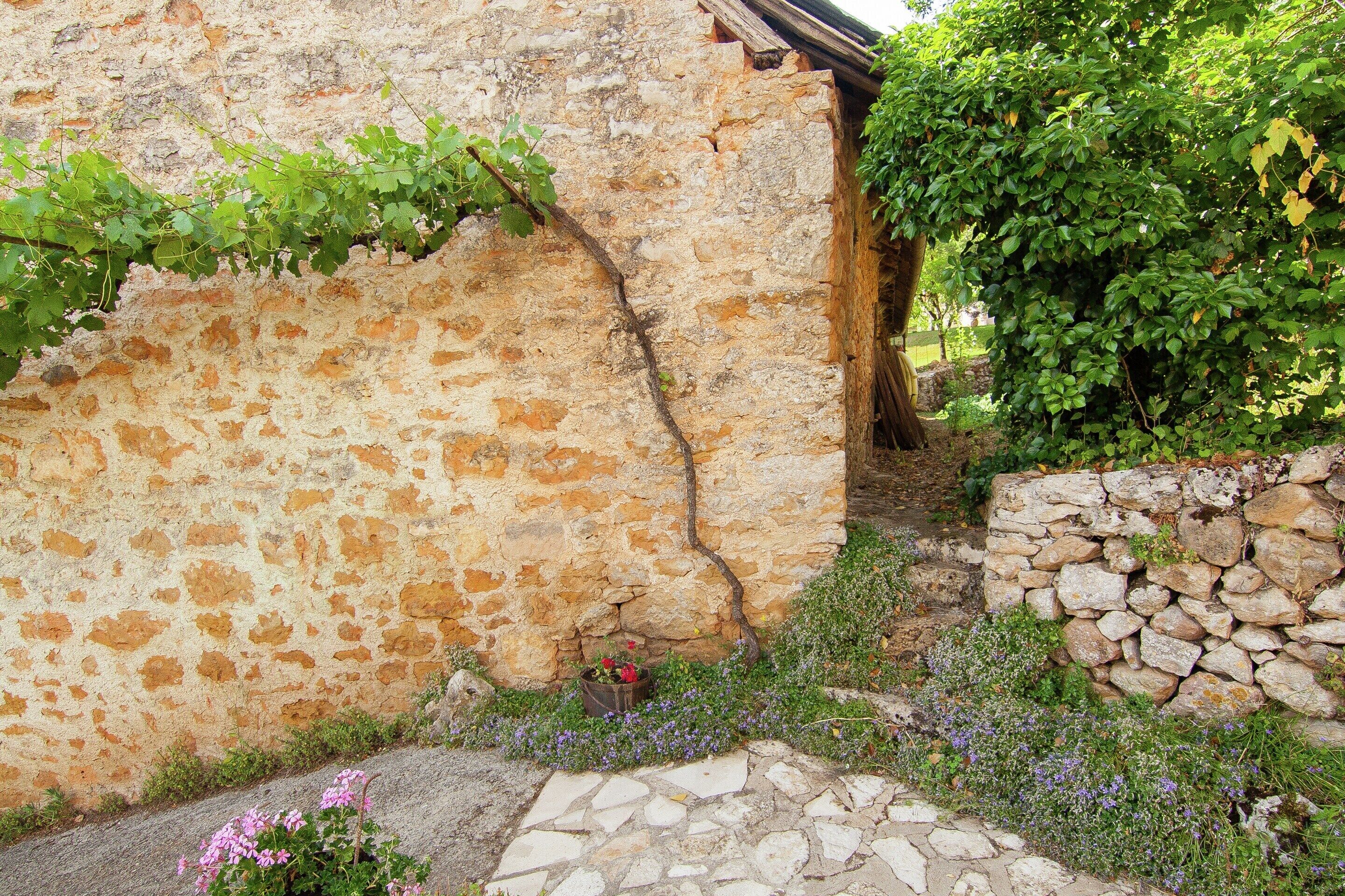 Cottage | Garden