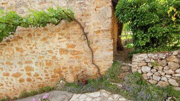 Cottage | Garden