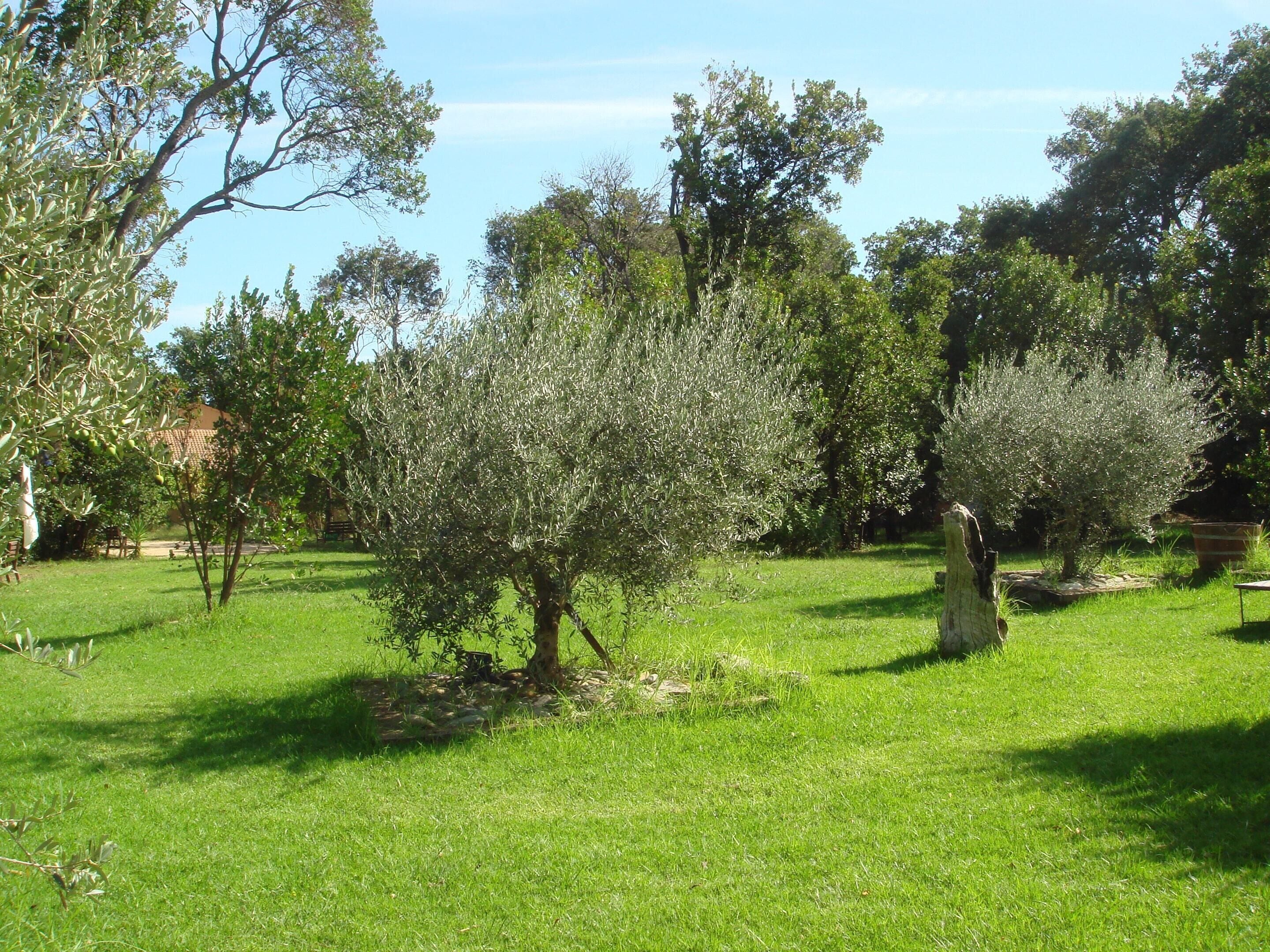House | Garden