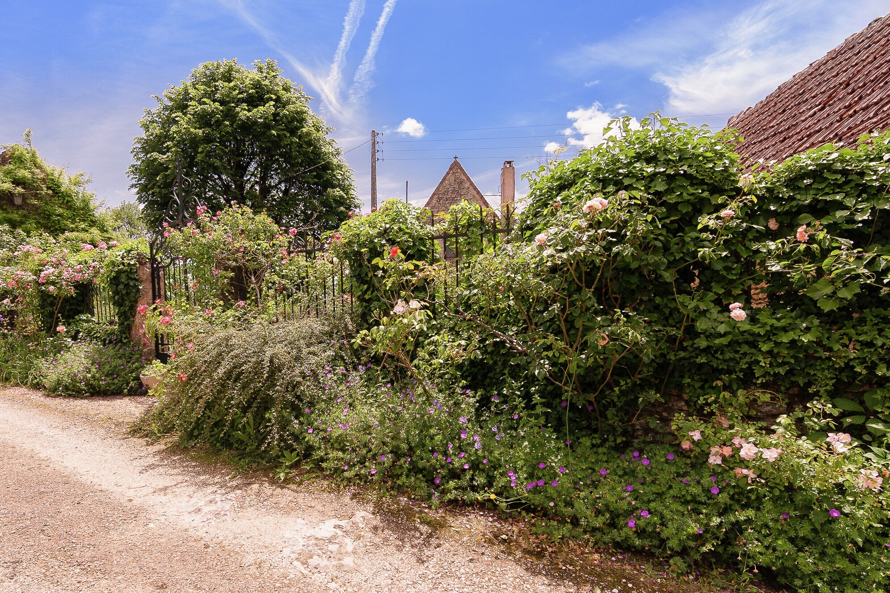 A rural road with a stone house, lush greenery, and flowering plants.