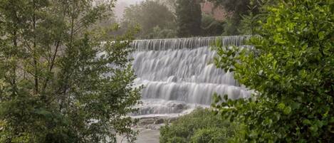 Uma cascata despencando sobre um paredão rochoso, cercada por vegetação exuberante e árvores.