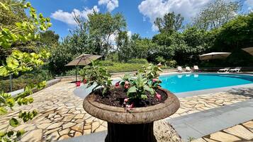 Cottage | Kolam renang