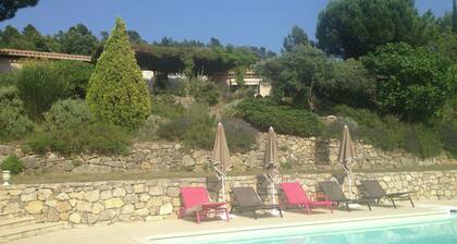 Cozy Holiday Home With Pool in Tourtour