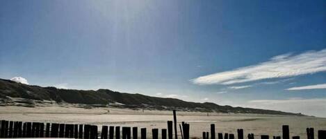 하우스 | 숙박 시설의 전망