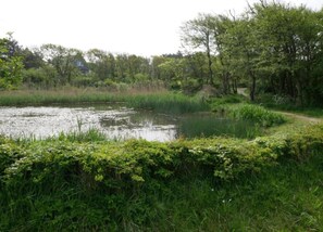 House | View from property - Quaint Holiday Home in Bergen aan Zee near Sea (Bergen aan Zee)