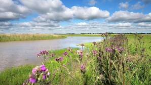 A river meandering through a lush green landscape with purple flowers in the foreground. - House Boat in Goengahuizen With Sauna (Goengahuizen)