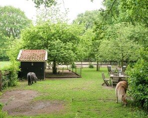 Casa | Vista des de l'allotjament