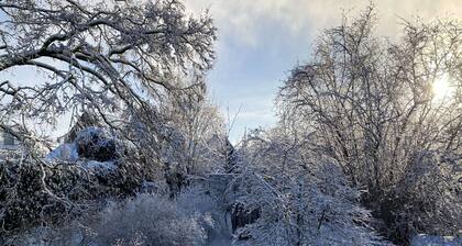 House Situated Peacefully on a Vast Green