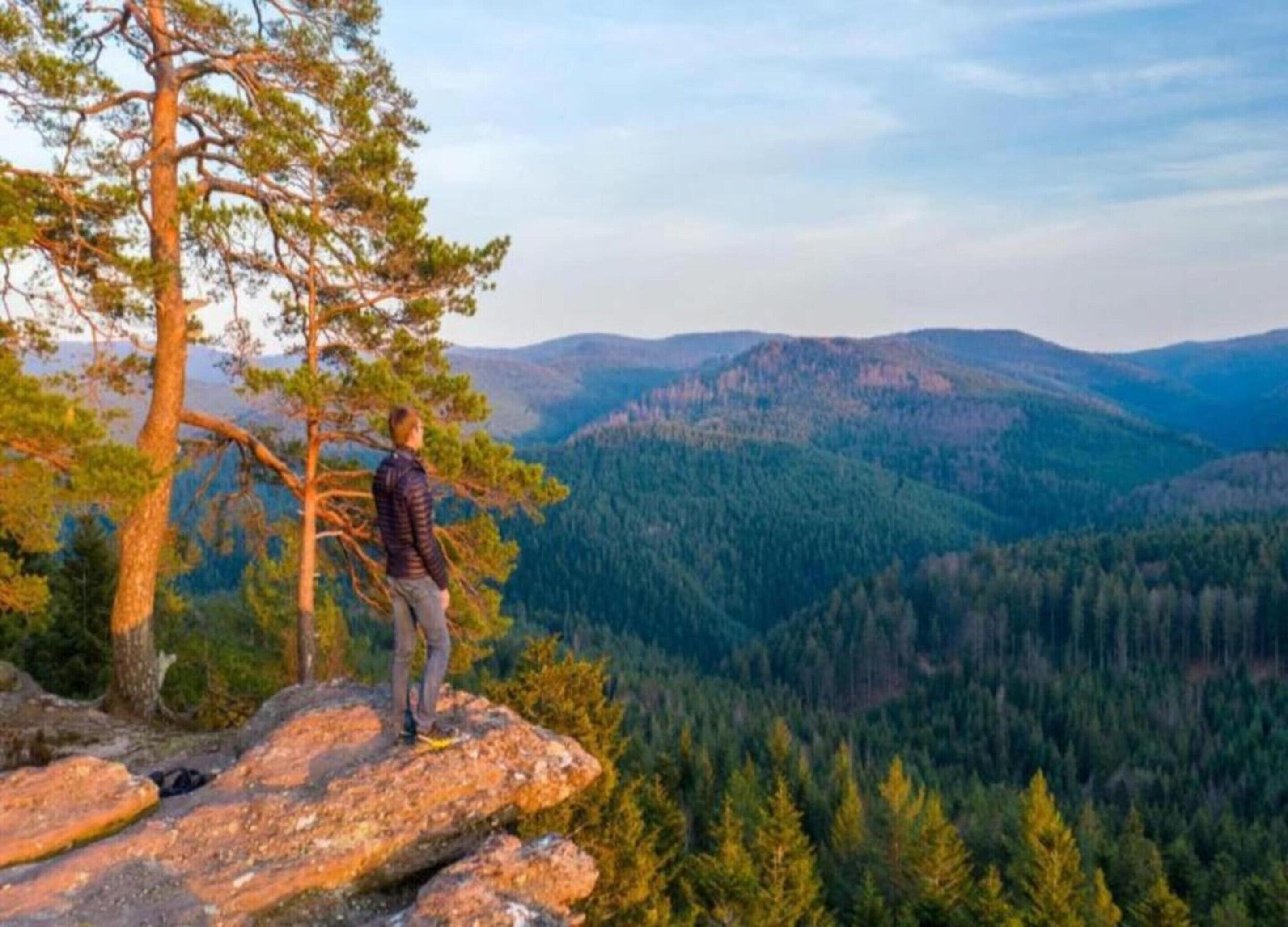 A person standing on a rocky outcrop with a view of a forested valley and mountains in the distance.