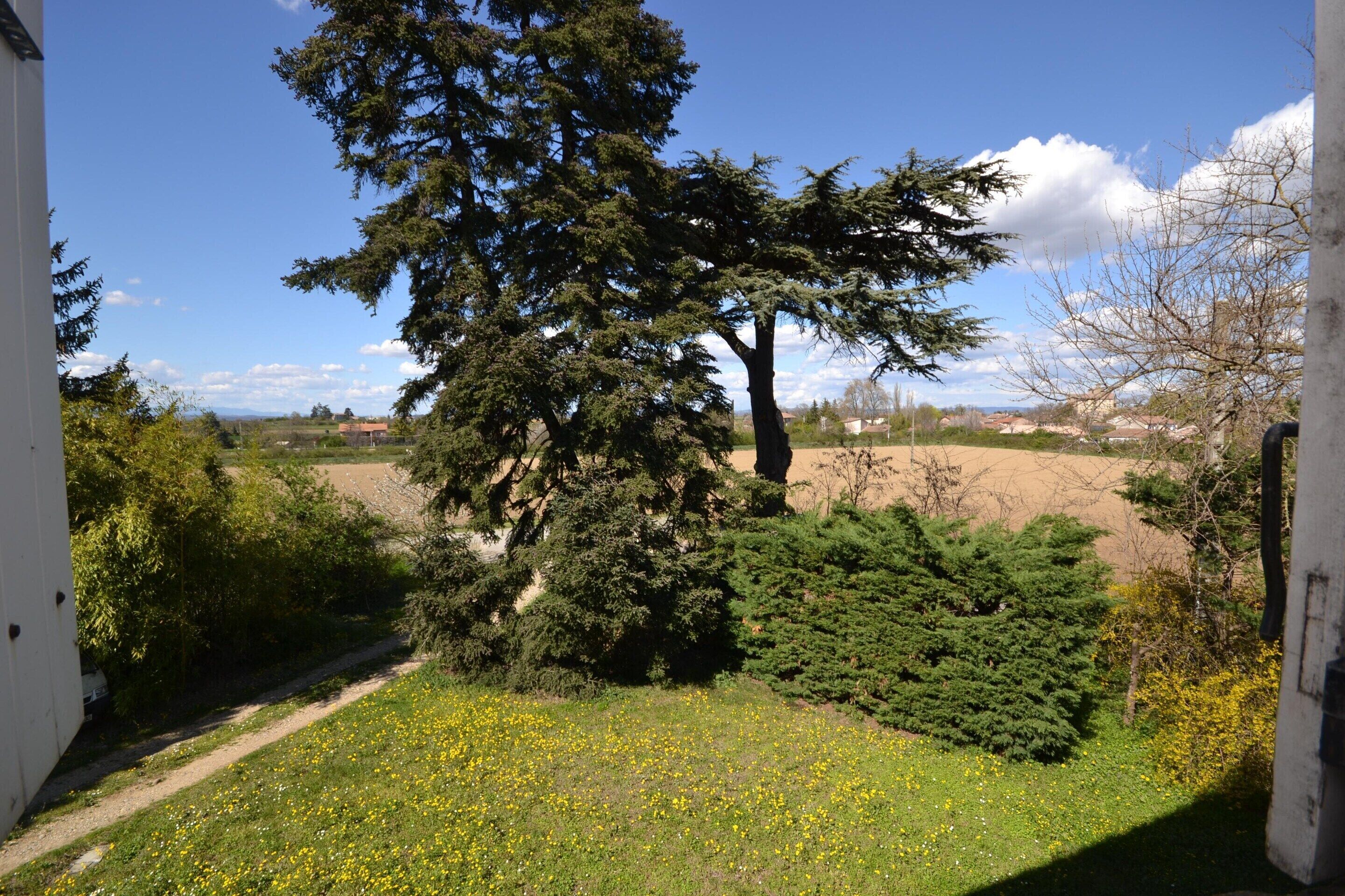 House | View from property