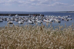House | View from property - Breton Escape in Querrien (Querrien)
