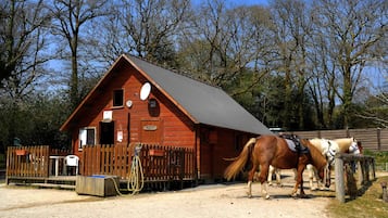 House | View from property