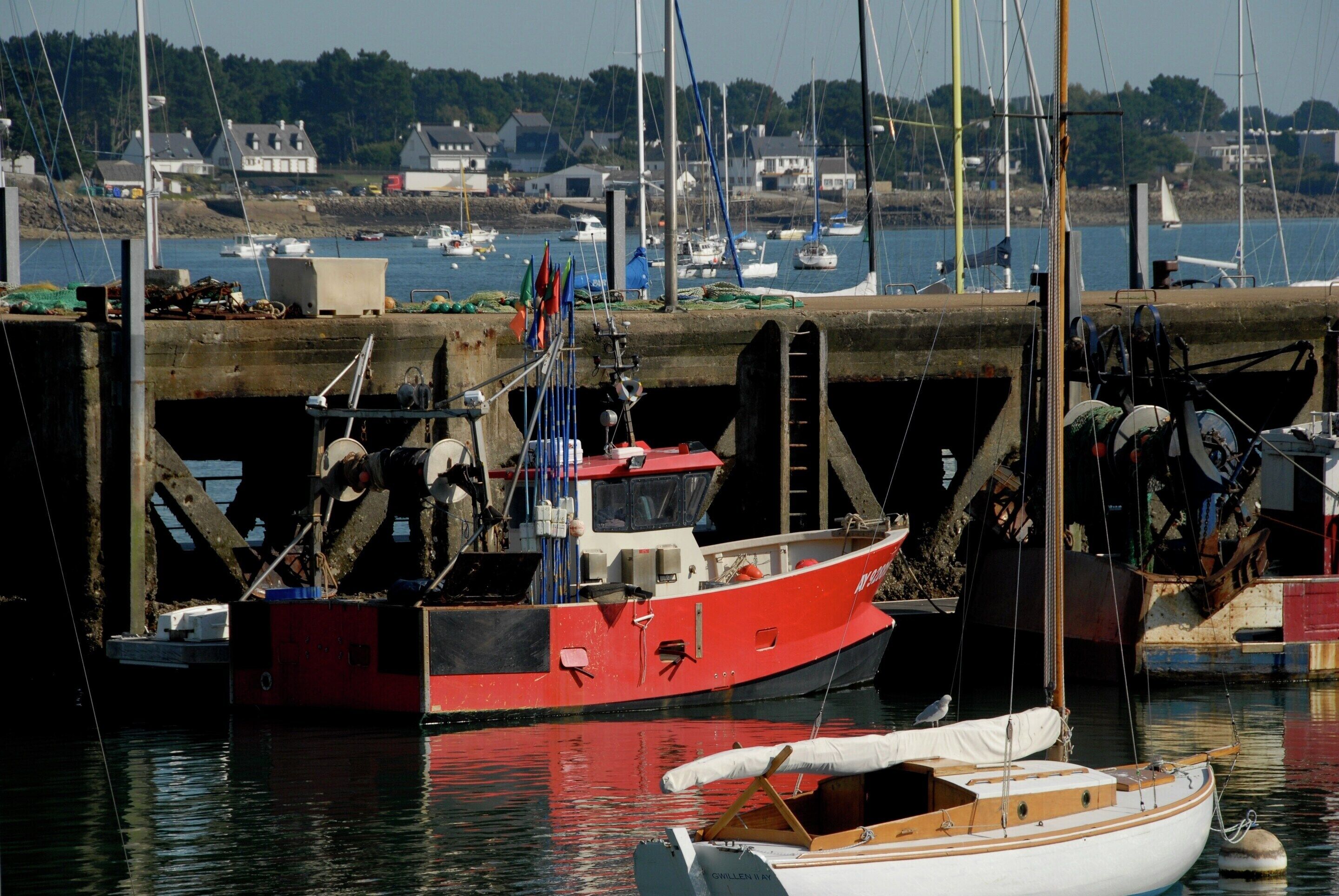 A harbor with boats docked, a pier, and houses in the background.