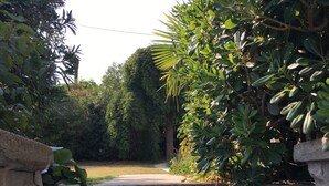 A stone staircase leading to a garden area with various plants and trees.