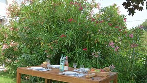 A wooden table set outdoors with plates, glasses, and a basket of fruits.